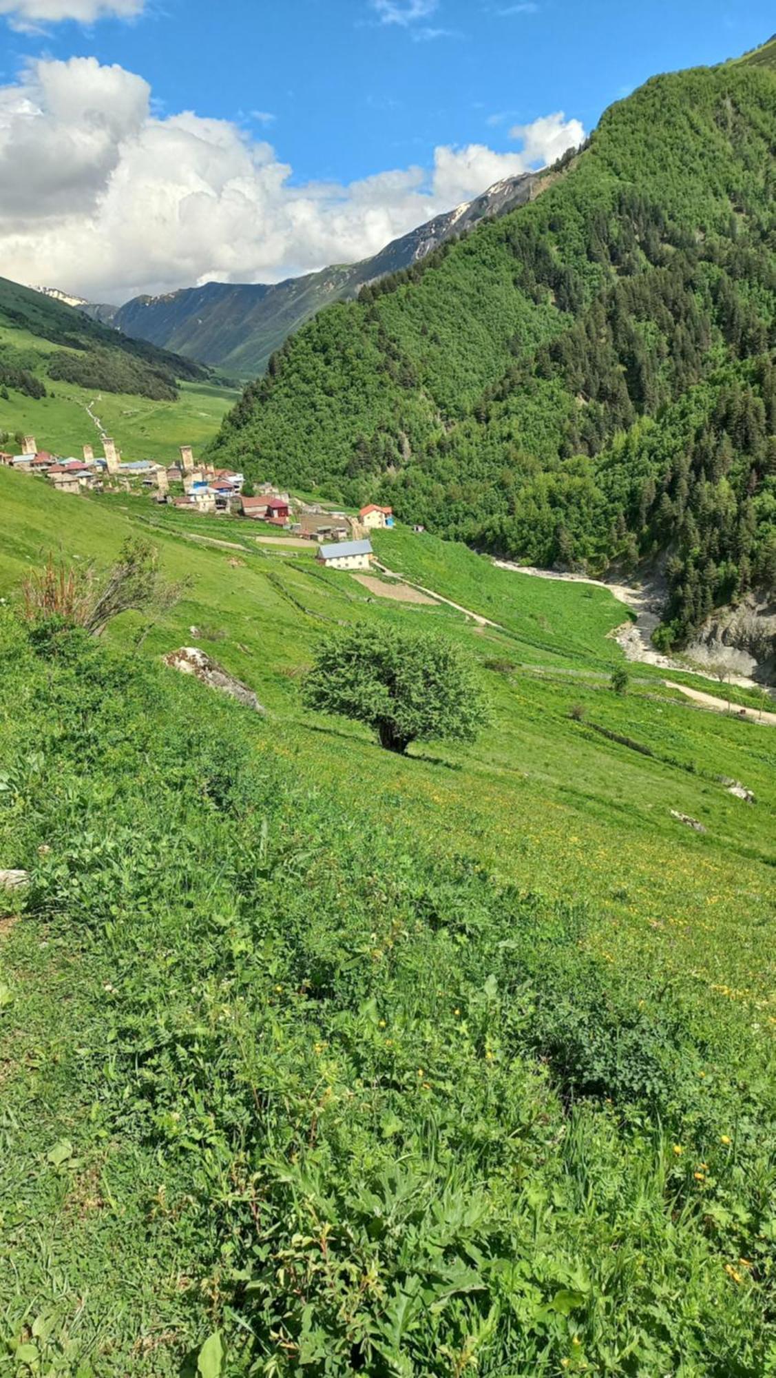 Guesthouse Ellie- Elisabeth Adishi Екстериор снимка